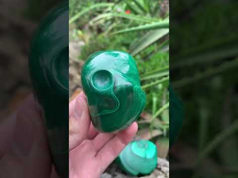 Polished Pair of Flower Banded Malachite Nodule Cut in Half x 1 From Congo