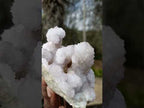 Natural Classic Drusy Spirit Amethyst Crystal Cluster x 1 From Boekenhouthoek, South Africa