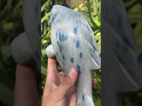 Hand Made Large Polished Blue Spotted Spinel Fish Carving x 1 From Madagascar