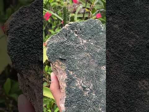 Natural Crystalline Malachite Specimen x 1 From Congo