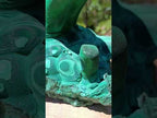 Natural XL Exquisite Malachite Stalagmite Specimen x 1 from Kasompe, Congo