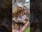Polished XL Cabinet Size Copal Amber with Multiple Inclusions x 1 From Nosy Varika Madagascar