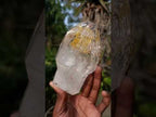 Polished Clear Window Quartz Sceptre Crystal x 1 From Akansobe, Madagascar