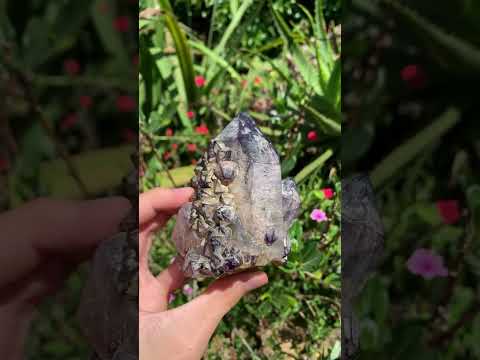 Polished Rare Twin Pineapple Amethyst Quartz Crystal x 1 From Angola