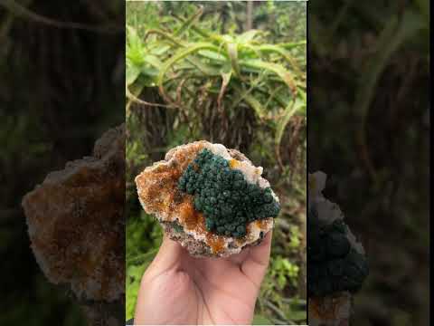 Natural Ball Malachite on Dolomite Matrix Specimen x 1 From Kambove, Congo