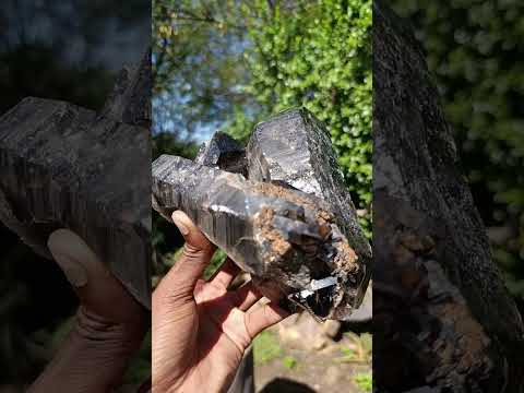 Natural Multi Terminated Morion Smokey Quartz Cluster x 1 From Zomba, Malawi
