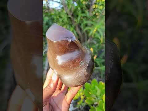 Polished Smokey Morion Quartz Crystal Flame x 1 From Madagascar
