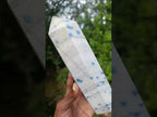 Polished Blue Spotted Spinel Display Crystal x 1 From Madagascar