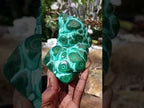 Polished "Eye" Ring Patterned Malacolla Free Form x 1 From Kulukuluku, Congo