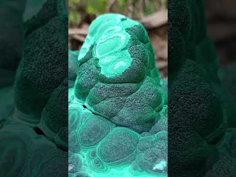 Natural XXL Crystalline Coated Malachite Stalagmite Specimen x 1 From Kolwezi, Congo