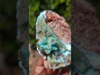 Natural Stalagmitic Drusy Coated Chrysocolla Pseudomorph Specimen x 1 from  Lupoto Mine, Congo