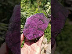 Polished One Side Metallic Sheen Purpurite Specimen x 1 From Erongo, Namibia