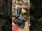 Natural Large Schorl Black Tourmaline Cabinet Specimen x 1 From Erongo, Namibia