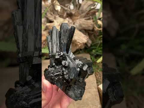 Natural Large Schorl Black Tourmaline Cabinet Specimen x 1 From Erongo, Namibia