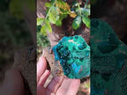 Natural Emerald Dioptase and Fibrous Malachite Specimen x 1 From Mashamba East, Congo