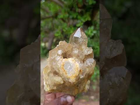 Natural Yellow Citrine Cascading Crystal Cluster x 1 From Luena, Congo