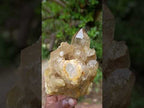 Natural Yellow Citrine Cascading Crystal Cluster x 1 From Luena, Congo