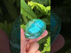 Polished Malacolla Free Form x 1 From Kulukuluku, Congo