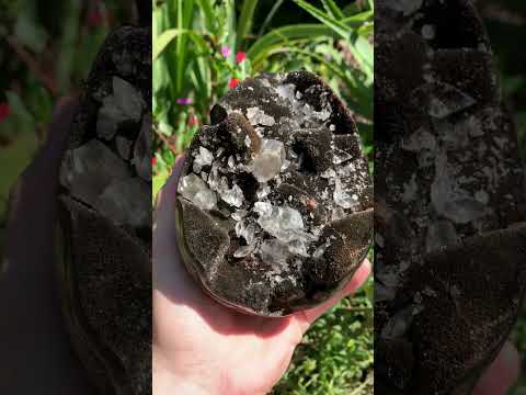 Polished Septerye "Dragon's Egg" with Black Calcite Centre and Gypsum Crystals x 1 From Mahajanga, Madagascar