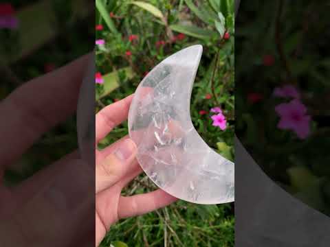 Polished Gemmy Star Girasol Rose Quartz Crescent Moon x 1 From Ambatondrazaka, Madagascar