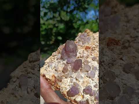 Natural Large Amethyst Crystal Plate Specimen x 1 From Brandberg, Namibia