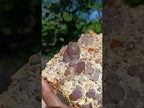 Natural Large Amethyst Crystal Plate Specimen x 1 From Brandberg, Namibia