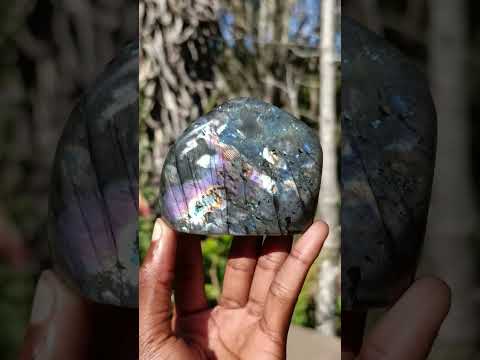Polished Spectrolite Labradorite Standing Display Piece x 1 From Tulear, Madagascar