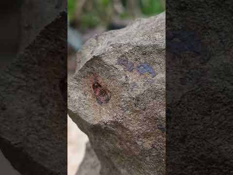 Natural Ultra Rare Large Gibeon Meteorite Specimen x 1 From Gibeon, Namibia