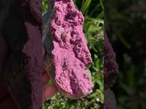 Natural Large Pink Cobaltion Dolomite Salrose Specimen x 1 From Kakanda, Congo