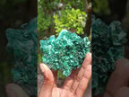 Natural Superb Silky Malachite Chatoyant Crystal Flower Specimen x 1 From Kasompe, Congo