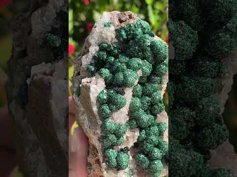 Natural Large Classic Ball Malachite With Quartz on Dolomite  x 1 From Mindingi Mine, Congo