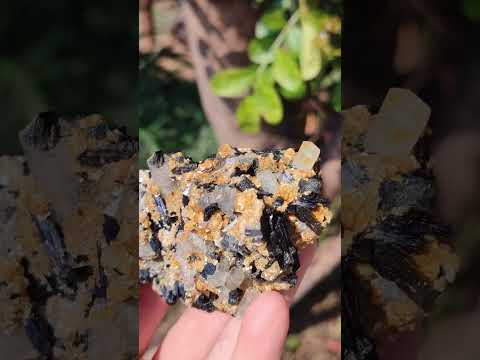 Natural Goshenite Clear Beryl Crystals in Schorl and Muscovite x 1 From Namibia