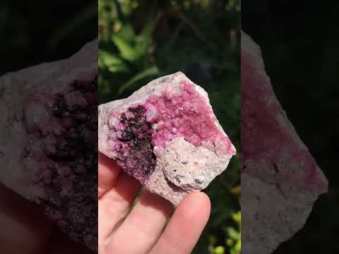 Natural Mixed Set of 6 African Mineral Specimens in a Wooden Display Box x 1 From Southern Africa