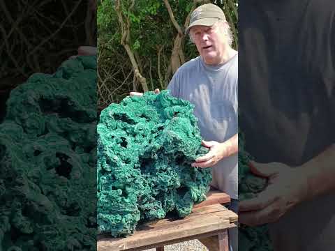 Natural XXXL Silky Malachite Rosette Specimen x 1 From Kasompe, Congo