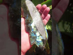 Hand Made Labradorite Leaf Dish or Ring Holder Carving x 1 From Madagascar