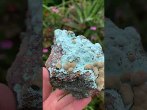 Natural Botryoidal Kolwezite Pseudomorph after Malachite on Chrysocolla Coated Cobaltion Calcite x 1 From Congo
