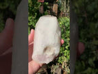 Natural Frosty Window Smokey Quartz Crystal x 1 From Orange River, South Africa